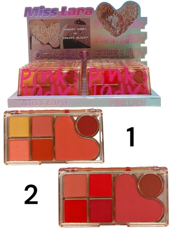 PALETA PINK LADY MISS LARA MJ146